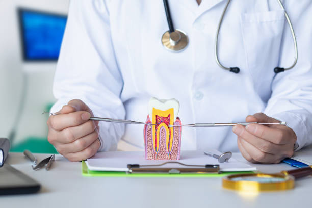 Best Emergency Dental Extractions in Marmet, WV
